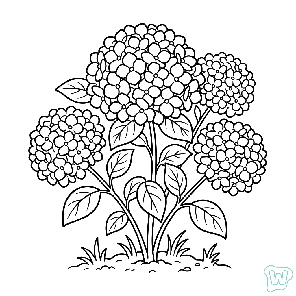 páginas para colorear fáciles de Hortensia