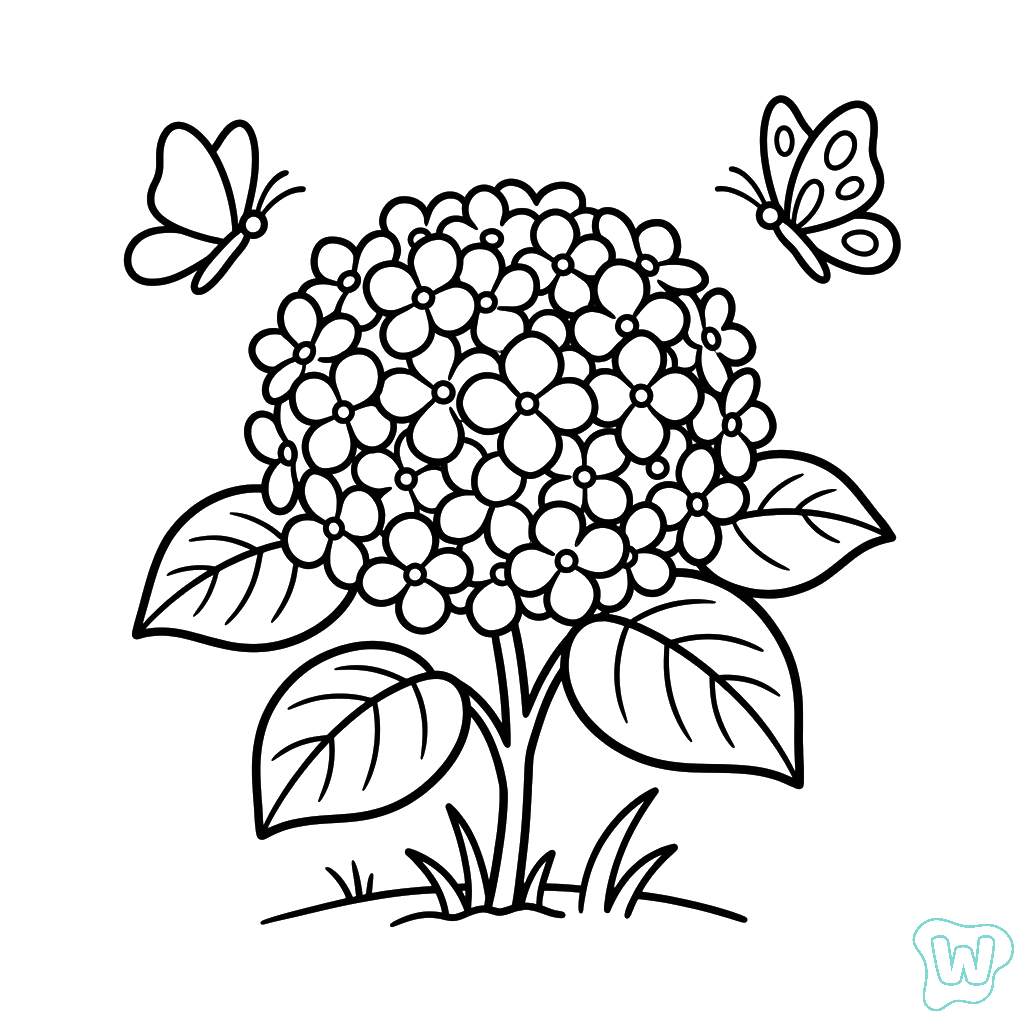 Hortensia páginas para colorear