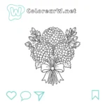 Hortensia thumbnail