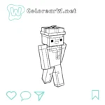 Penguin Onesie Minecraft thumbnail